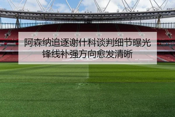 阿森纳追逐谢什科谈判细节曝光 锋线补强方向愈发清晰 | MangoSport